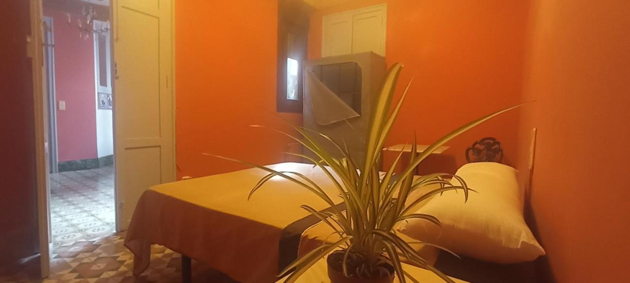 Casa Artistica Bed & Breakfast Gandia Bagian luar foto